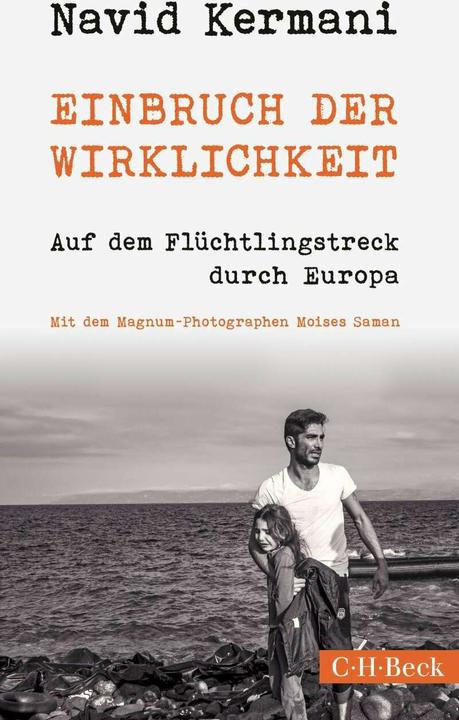 Produktbild Einbruch der Wirklichkeit (Deutsch, Navid Kermani, 2016)