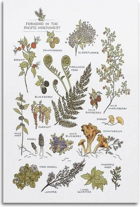 Produktbild Samsung UE32H5002FK (32", LED, HD)