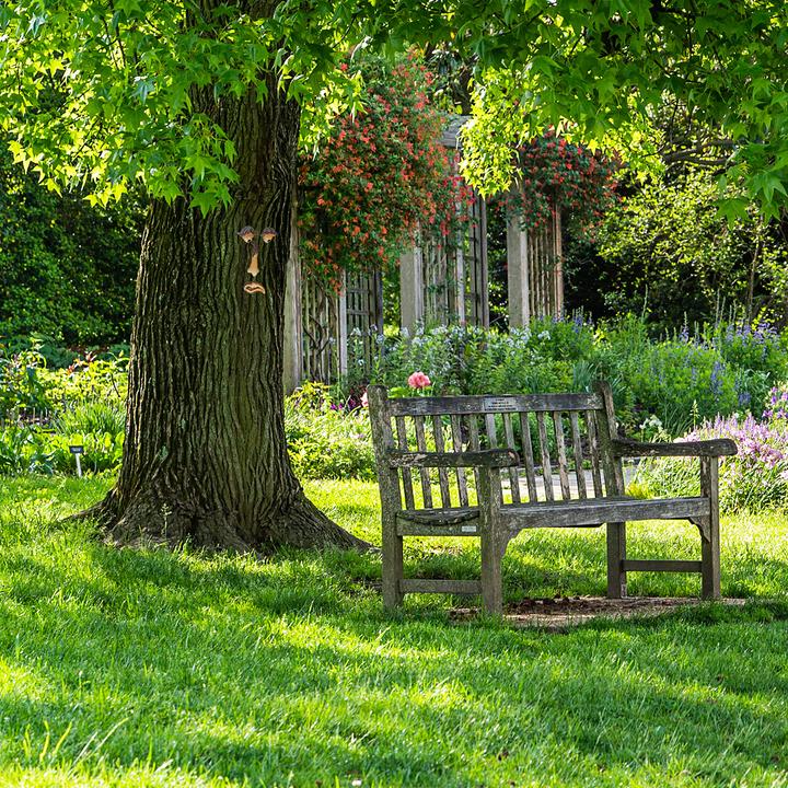 Produktbild Relaxdays Baumgesicht