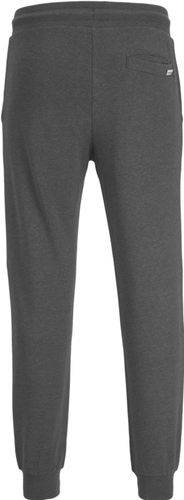 Actual product image Jack & Jones Gordon Sweathose (S)