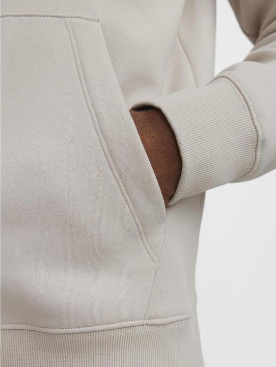 Image du produit Jack & Jones Sweat à capuche (M)