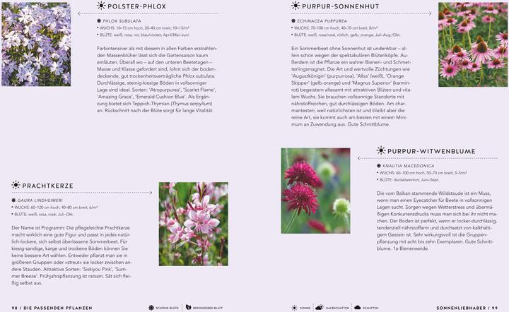 Actual product image Schöne Beete für Faule (German, Lars Weigelt, 2019)