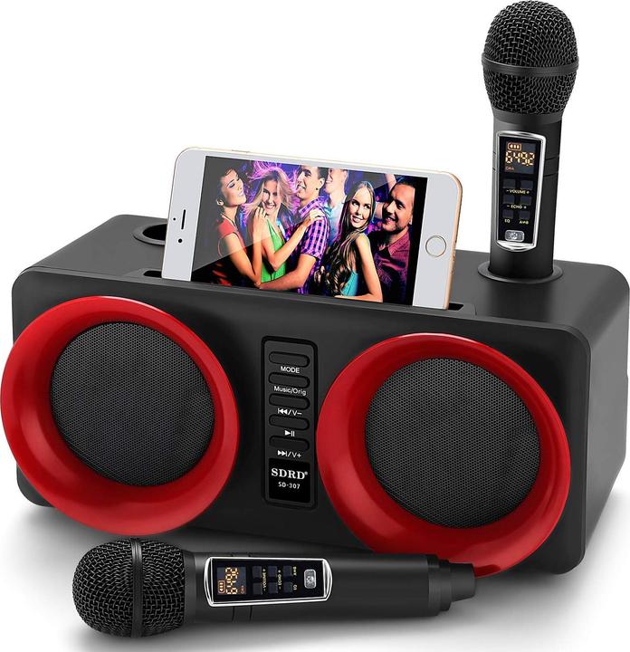 Actual product image Alpowl Karaoke Machine