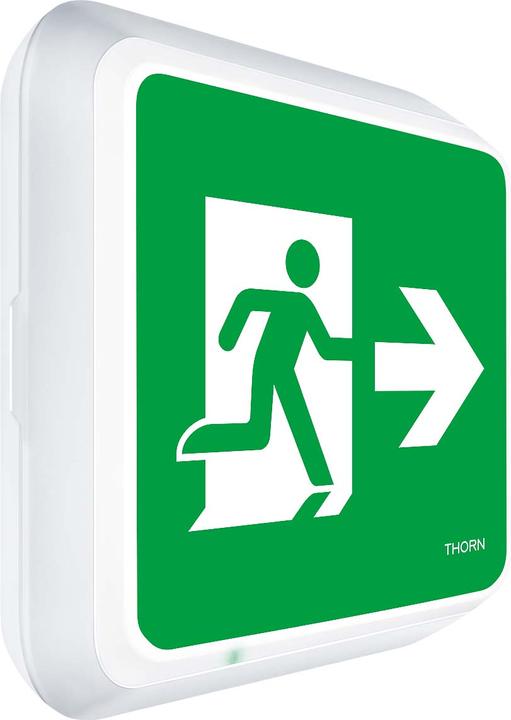 Actual product image Thorn Escape sign luminaire 96635077