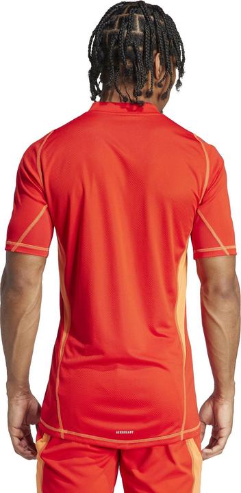 Actual product image adidas TIRO24 P GK JSY (M)