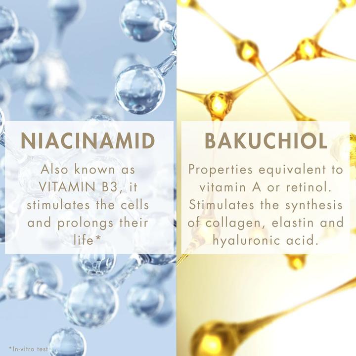 Immagine prodotto Avène Avene DermAbsolu crème nuit resculptante (40 ml, Crema notte)