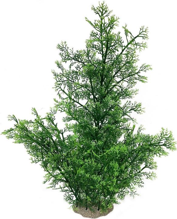 Produktbild EBI Aqua Della Phoenix XL (Dekoration, Pflanzen)