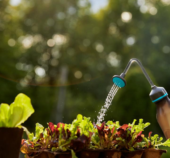 Immagine prodotto Gardena Spruzzatore morbido (0.45 l)