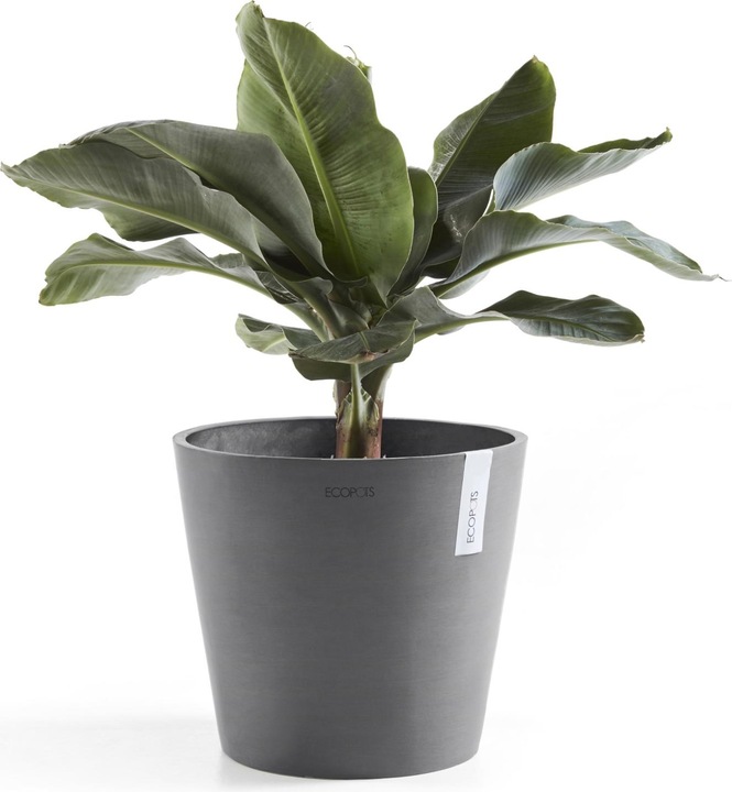 Actual product image Ecopots Amsterdam (40 cm)