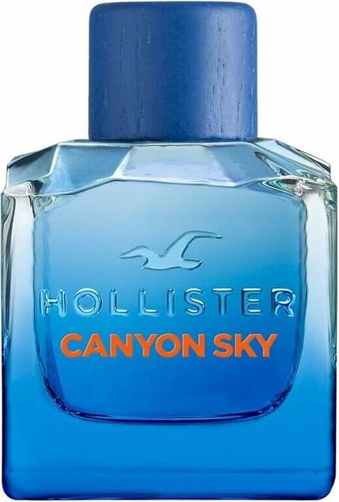 Actual product image Hollister Canyon Sky For Him - EDT - 100 ml (Eau de toilette, 100 ml)