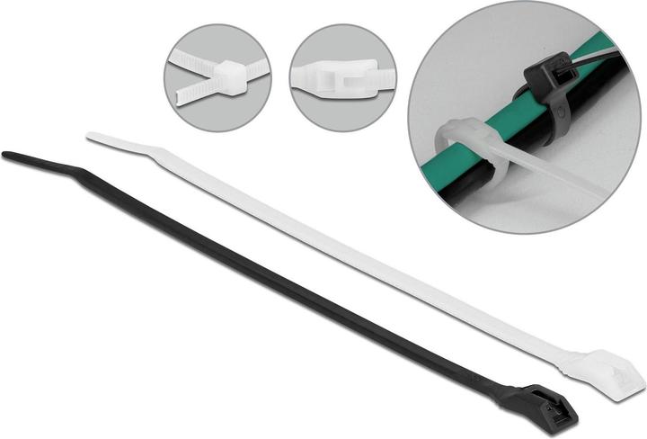 Delock Kabelbinder mit flachem Kopf L 205 x B 4,6 mm 100 Stück (Klettkabelbinder, 205 mm, 100 Stk.)