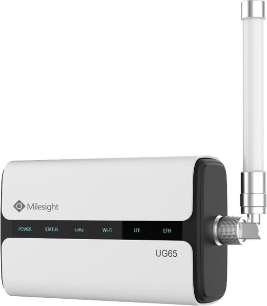 Milesight UG65-L04EU-EA