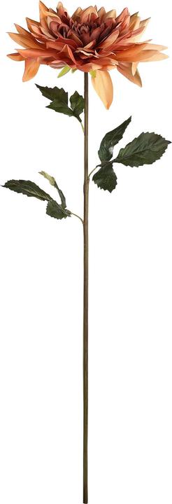 Immagine prodotto EGLO Semporna (990 cm)