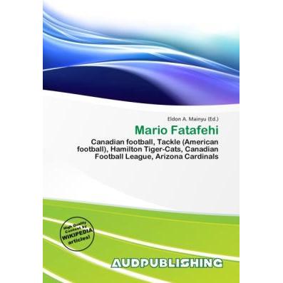 Mario Fatafehi, Ratgeber
