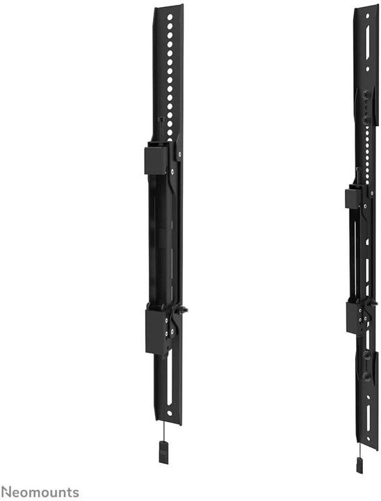 Image du produit Neomounts Select Screen Wall Mount (support mural fixe) (Mur, 110", 160 kg)