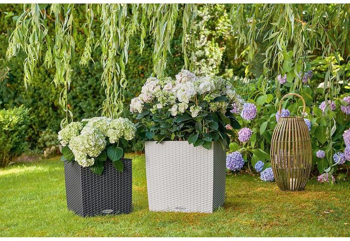 Actual product image Lechuza Cube Cottage (39 x 39 x 40 cm)