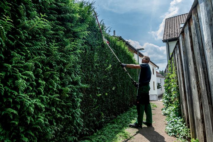 Actual product image Metabo MA-HS 50 (Hedge shears, Weed whacker, Garden machinery attachment)
