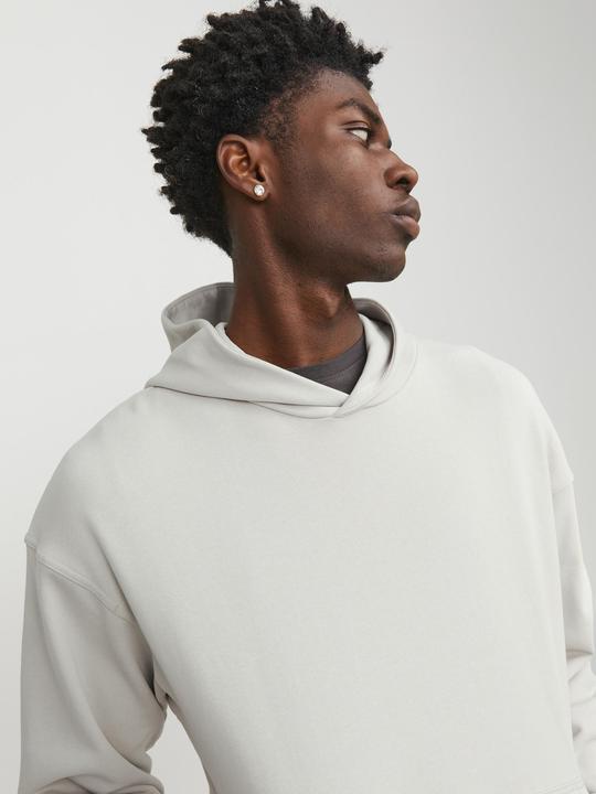 Image du produit Jack & Jones Sweat à capuche (XS)