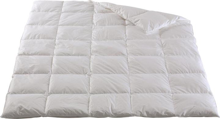 DOR Duvet toute saison NOLANA (1200 g, Polyester, 160 x 210 cm)