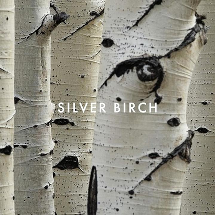 Actual product image Alfred Sung Shi (Eau de parfum, 100 ml)