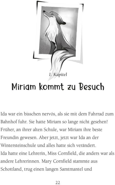 Actual product image Die Schule der magischen Tiere: Das Buch zum Film 4 (Margit Auer, The colour foxes, German)