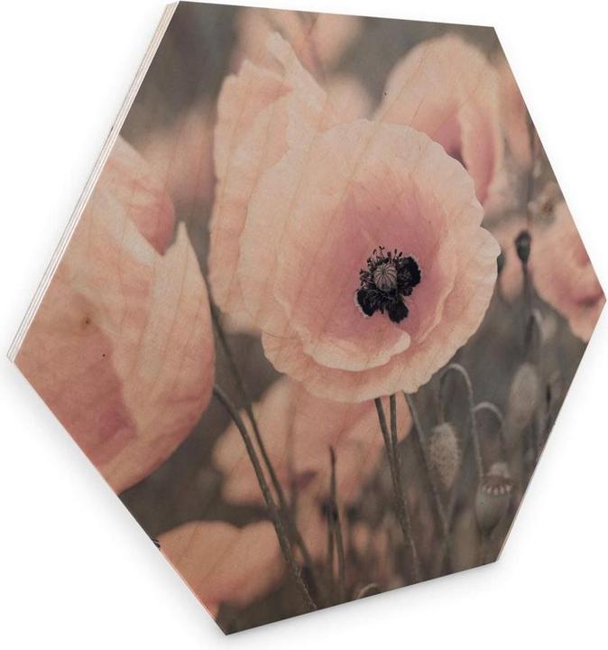 Produktbild Trenddeko Rosa Mohnblume (25 x 22 cm)