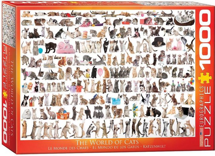 Produktbild Eurographics Katzenwelt (1000 Teile)