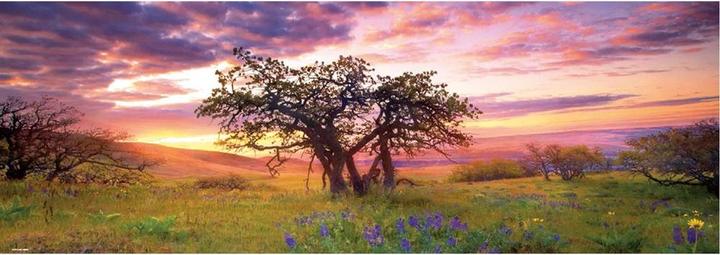 Image du produit Heye Chêne Humboldt (2000 pièces)