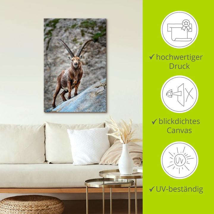 Produktbild Artland Steinbock mit grossen Hörnern U3VG (40 x 60 cm)