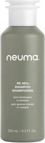 Produktbild Neuma Re Neu Shampoo 8.5 fl oz (250 ml, Flüssiges Shampoo)