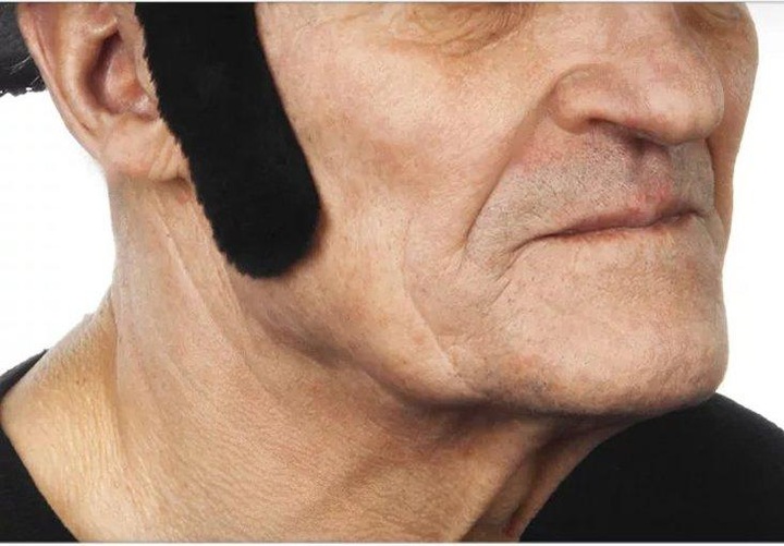 Actual product image Metamorph Koteletten