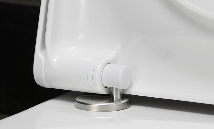 Actual product image Duravit WC seat with soft-closing mechanism, removable white