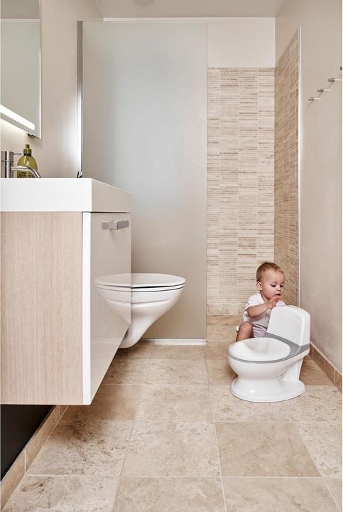 Actual product image Baby Dan Children's potty with flushing sound