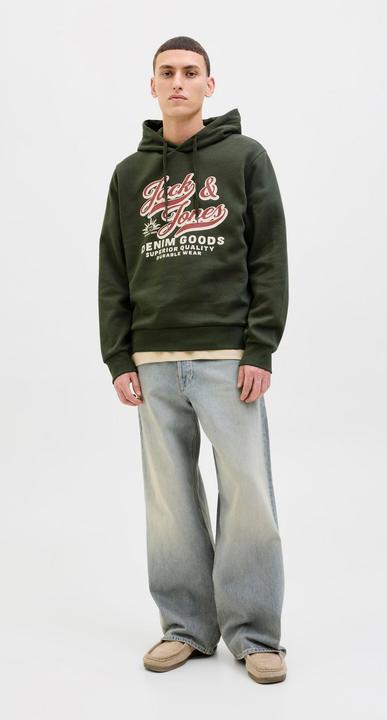 Actual product image Jack & Jones JJELOGO SWEAT HOOD 2 COL 25/26 NOOS (M)