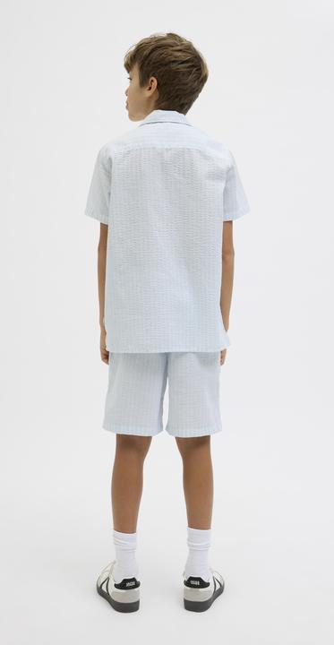 Actual product image Jack & Jones Jogger Fit Regular Fit Shorts Junior Regular Fit Shorts (164)