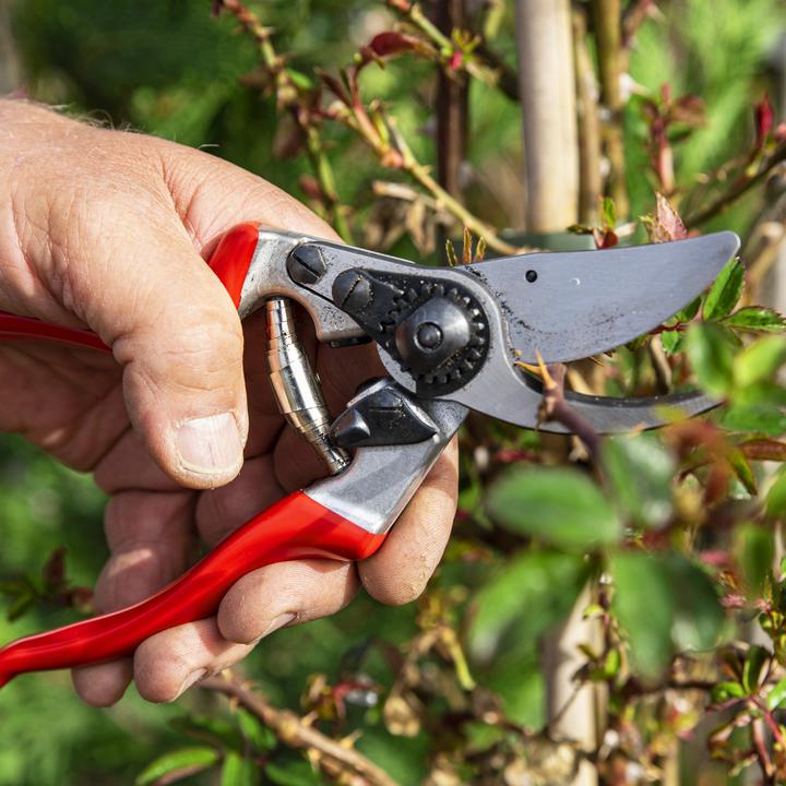 Produktbild Felco 9 Bypass Gartenschere für grosse Hände, für Linkshänder
