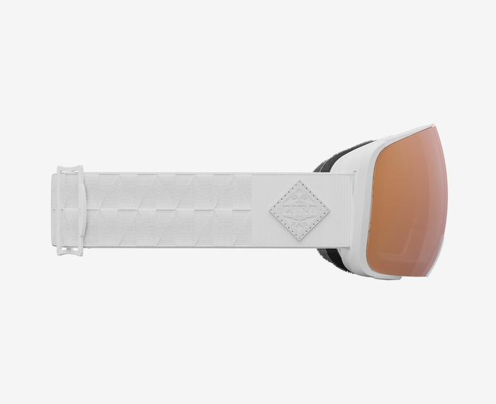 Produktbild Giro Comp Vivid Goggle