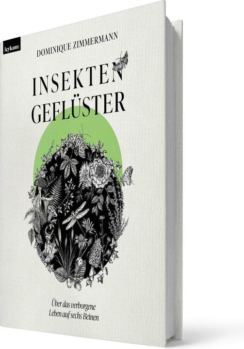 Produktbild Insektengeflüster - Über das verborgene Leben auf sechs Beinen (Deutsch, Dominique Zimmermann, 2024)