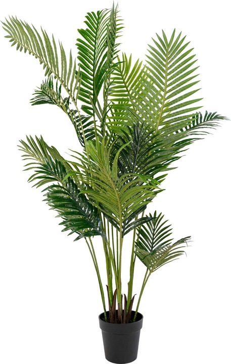 Produktbild House Nordic Areca (175 cm)