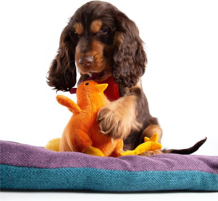 Produktbild Martin Hondenspeelgoed Haan Pluche Oranje Gerecycled - 25X10X15 Cm (Plüschspielzeug Hund)