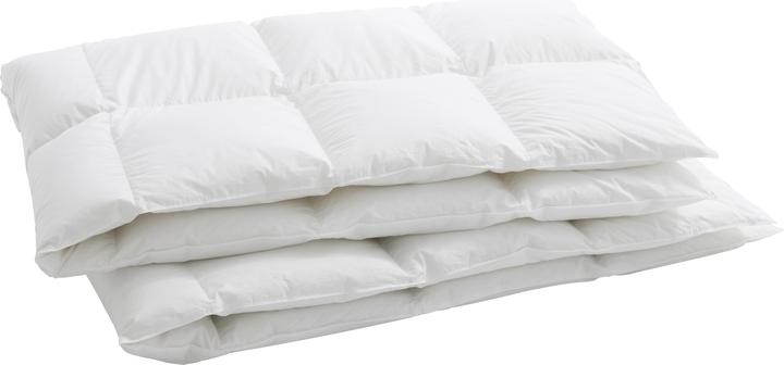 Produktbild Billerbeck Luzern 100 (600 g, 160 x 210 cm)