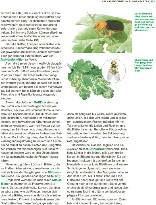 Produktbild Das grosse Buch der Stauden und Sommerblumen (Deutsch, Joachim Mayer, 2025)