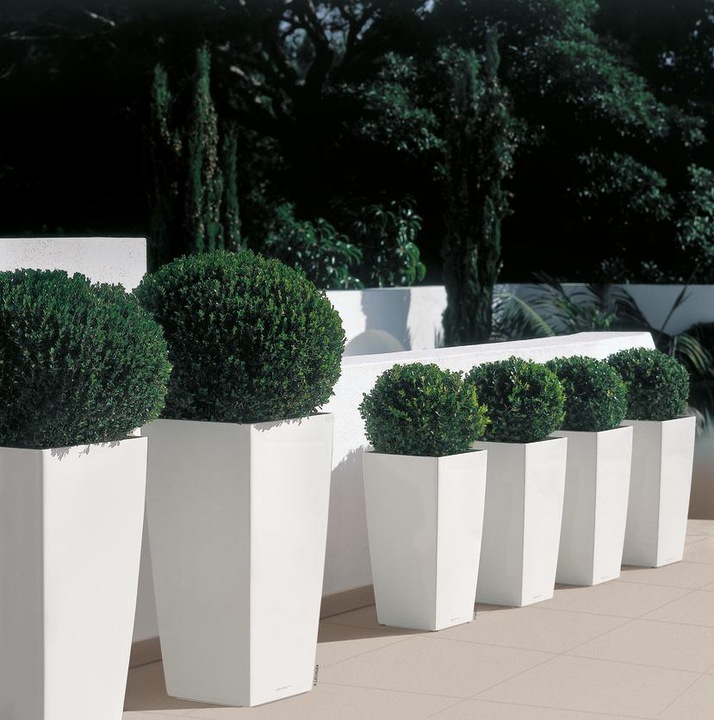 Produktbild Lechuza Cubico (29.50 cm)