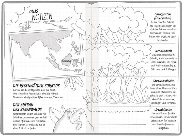 Immagine prodotto Ein Fall für die Forscher-Kids 5. Jagd durch den Regenwald (Tedesco, S. J. King, DK Verlag - Bambini, Violeta Topalova, Ellie O'Shea, 2024)