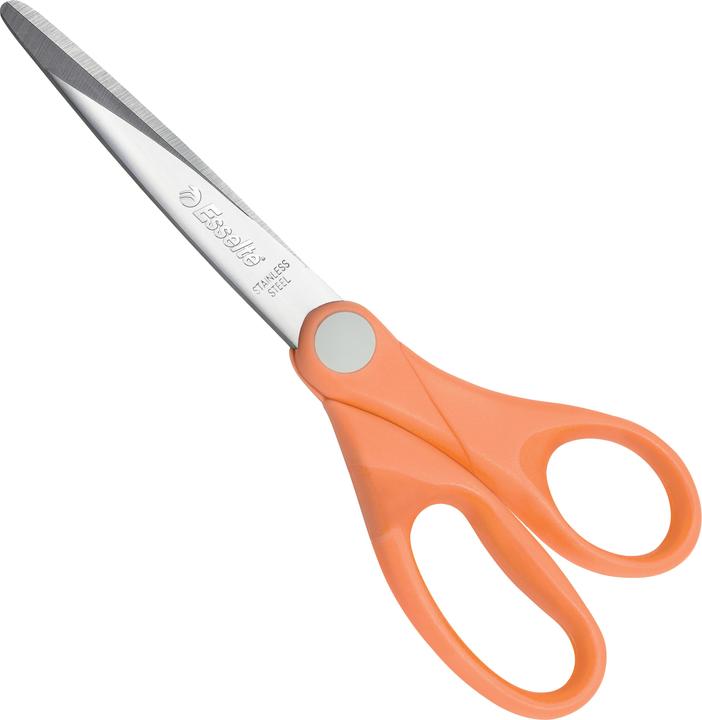 Immagine prodotto Esselte COLOUR'ICE - Forbici (18 cm)