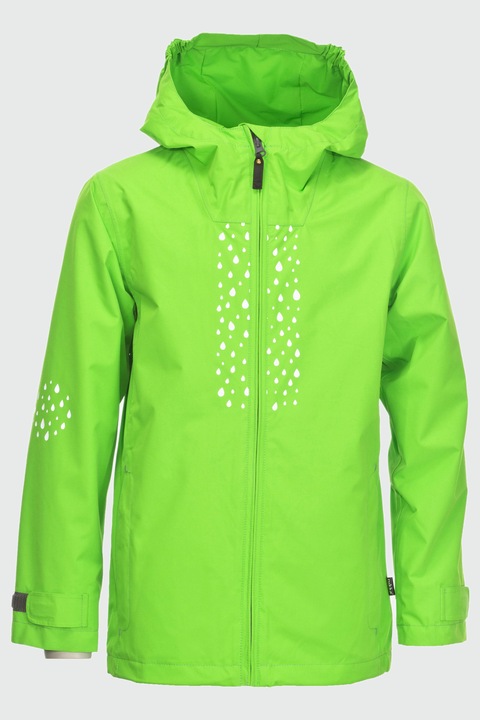 neon gekko