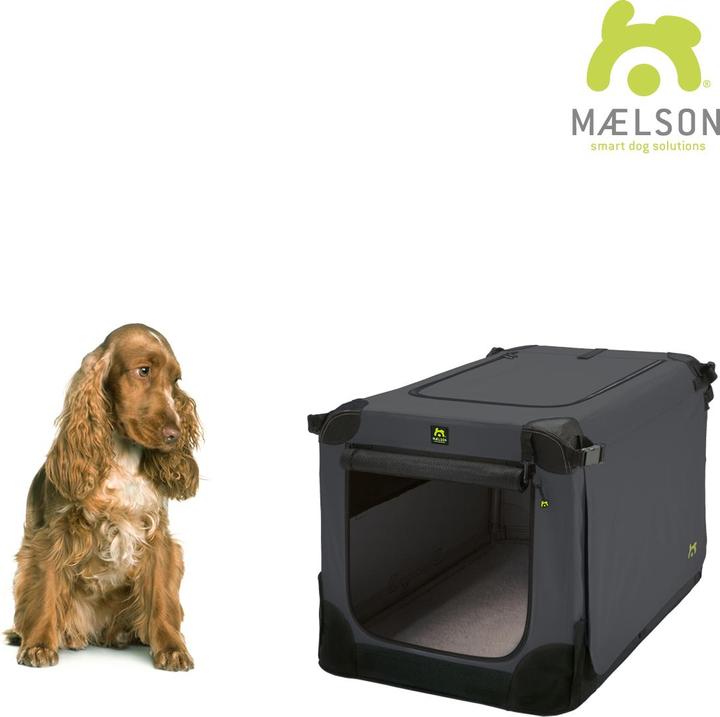 Actual product image Maelson Dog / transport box (Dog, Foldable, Washable)