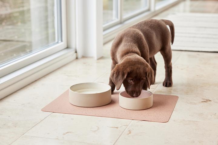 Actual product image Oyoy ZOO - Koko Dog Bowl Mat - Brown (Z60000)
