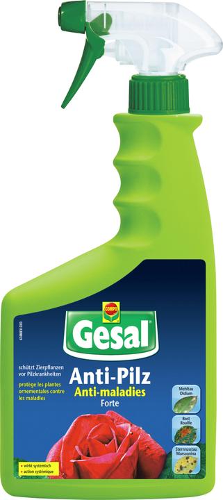 Actual product image Gesal Anti-fungal Forte (Mushrooms)