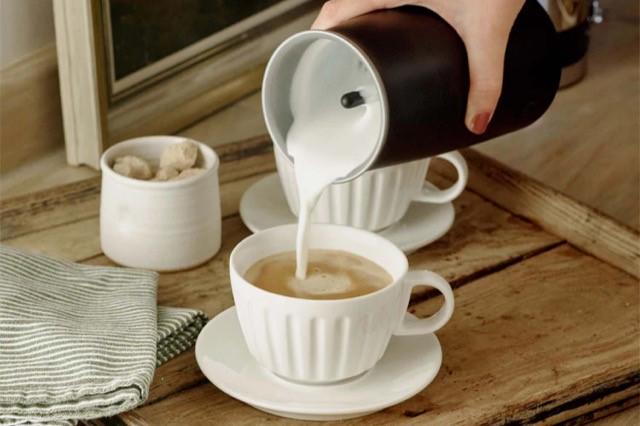 Actual product image Dualit Milk frother 500W 0.34 litres (34 cl)